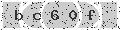 verify code