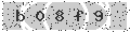 verify code