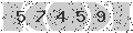 verify code