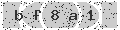 verify code