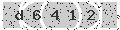 verify code
