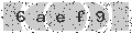 verify code