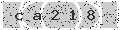 verify code