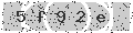 verify code