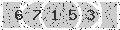 verify code