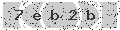 verify code
