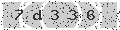 verify code
