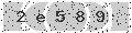 verify code