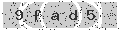verify code
