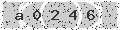 verify code