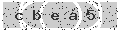 verify code