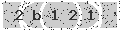 verify code