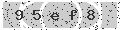 verify code