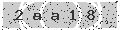 verify code