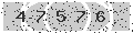 verify code