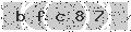 verify code