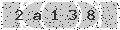 verify code