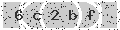 verify code