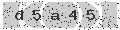 verify code