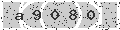verify code