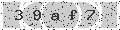 verify code