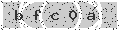 verify code