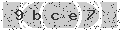 verify code