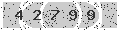 verify code