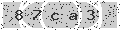 verify code