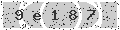 verify code